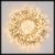 Catena luminosa 20M|luce fissa e giochi di lcue bianco caldo|500 led 