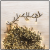 Catena 60 m, memory controller, mini cluster 3000 MiniLED, bianco traditional