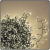 Catena 50 m, memory controller, mini cluster 2500 MiniLED, bianco caldo