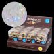 Kit 24 Catene luminose a batteria, 80 microled, 7,9 m, multicolor