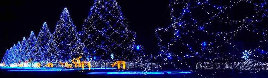 Catene di luci di Natale professionali