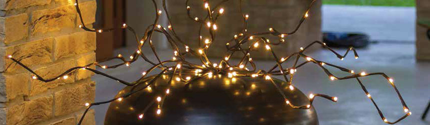 Luci per decorare vasi e piante in casa